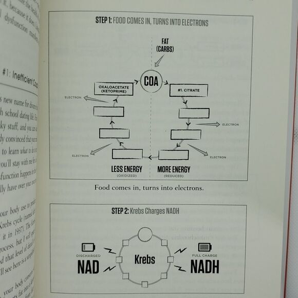 🔺️GUC Head Strong Book - Picture 6 of 8